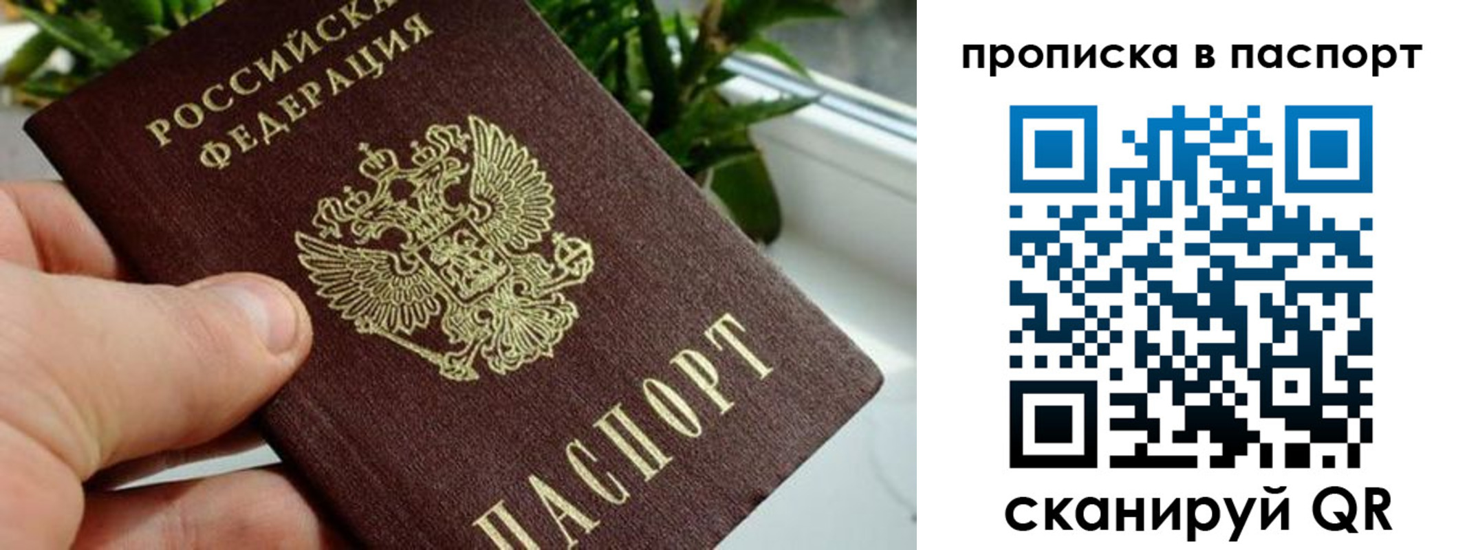 временная регистрация поиск в Заводоуковске